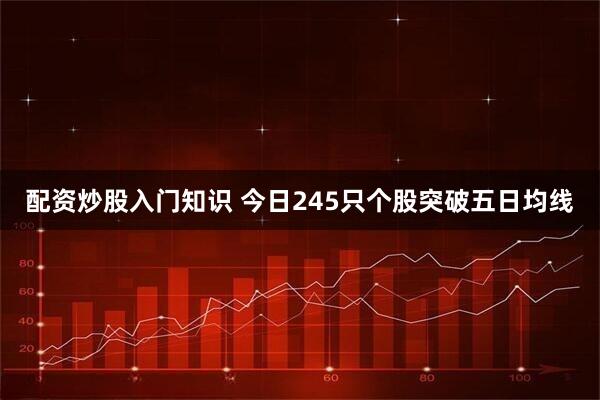 配资炒股入门知识 今日245只个股突破五日均线