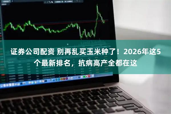 证券公司配资 别再乱买玉米种了！2026年这5个最新排名，抗病高产全都在这