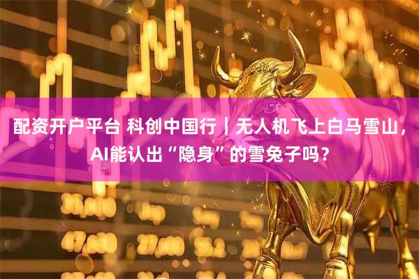 配资开户平台 科创中国行|无人机飞上白马雪山,AI能认出“隐身”的雪兔子吗?